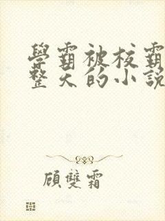 学霸被校霸罚一整天的小说