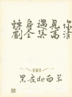 转身遇见你电视剧全集高清在线观看