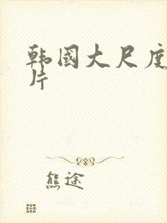 韩国大尺度理论片