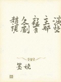 赵久毅主演的电视剧有哪些