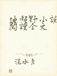 他超野小说免费阅读全文