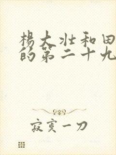 杨大壮和田桂花的第二十九