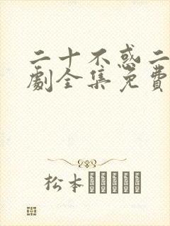 二十不惑二电视剧全集免费观看完整版