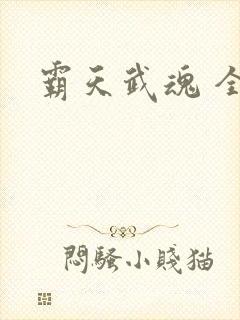 霸天武魂 全文封面