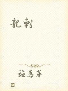 龙刺封面
