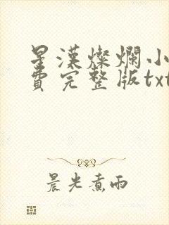 星汉灿烂小说免费完整版txt下载