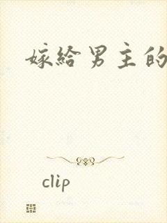 嫁给男主的舅舅封面