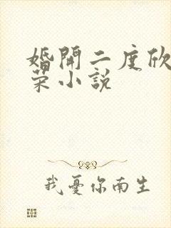 婚开二度欣欣向荣小说