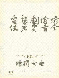 电视剧偷偷藏不住免费看全集封面