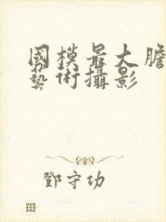 国模最大胆人体艺术摄影封面