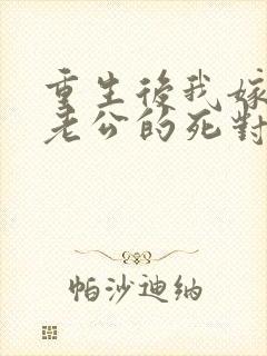 重生后我嫁给了老公的死对头 短剧