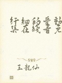 纤细的爱动漫全集在线看免费观看