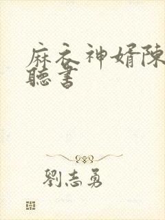 麻衣神婿陈黄皮听书