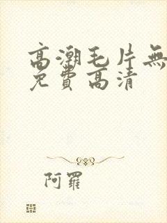 高潮毛片无遮挡免费高清