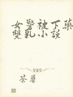 女警被下药玩弄双乳小说