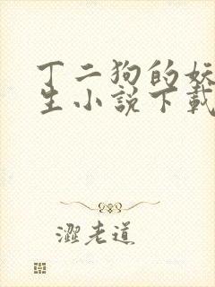 丁二狗的妖孽人生小说下载