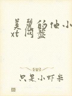 美丽的他小说txt 网盘