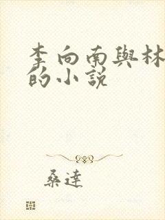 李向南与林楚乔的小说