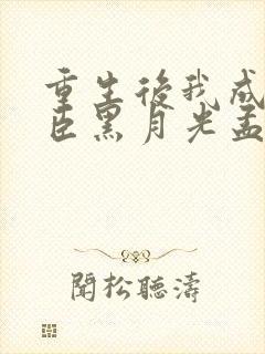 重生后我成了权臣黑月光孟芊芊