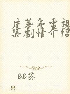 度华年电视剧分集剧情介绍封面