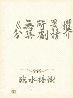 《无所畏惧3》分集剧情介绍