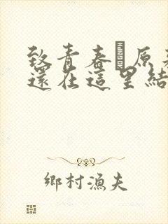 致青春·原来你还在这里结局封面