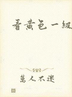 看黄色一级片儿