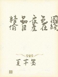 精品夜色国产国偷自产在线