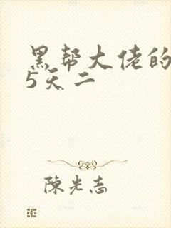 黑帮大佬的365天二