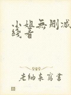 小姐无删减版在线看