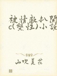 被情敌扒开腿狂c(双性)小说封面