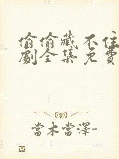 偷偷藏不住电视剧全集免费观看完整