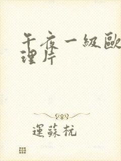 午夜一级欧美伦理片封面