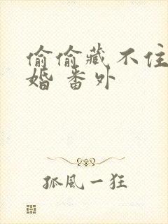 偷偷藏不住 新婚 番外封面