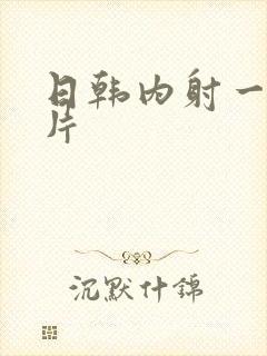 日韩内射一级大片
