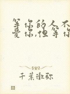 等你的人不一定爱你,但等你的人一定爱你封面