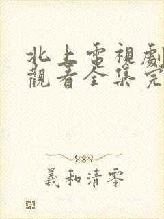 北上电视剧免费观看全集完整版高清