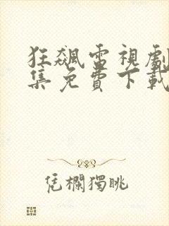 狂飙电视剧40集免费下载观看