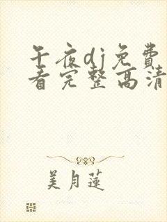 午夜dj免费观看完整高清