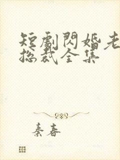 短剧闪婚老公是总裁全集