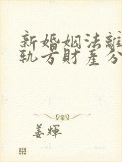 新婚姻法离婚出轨方财产分割封面