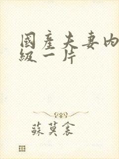 国产夫妻内射一级一片