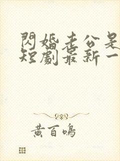 闪婚老公是总裁短剧最新一集