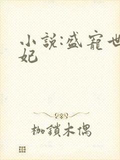 小说:盛宠世子妃封面