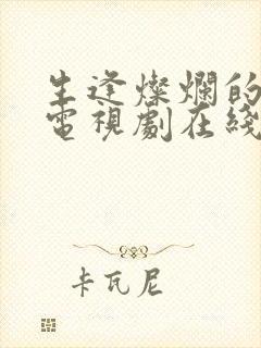 生逢灿烂的日子电视剧在线播放