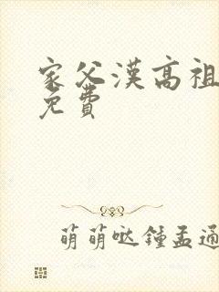 家父汉高祖全文免费