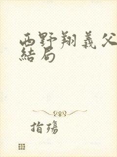 西野翔义父电影结局封面