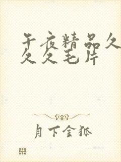 午夜精品久久久久久毛片