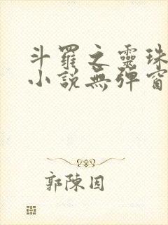 斗罗之灵珠神剑小说无弹窗全文免费阅读