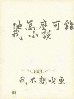 他怎么可能喜欢我 小说